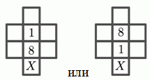 кенгуру